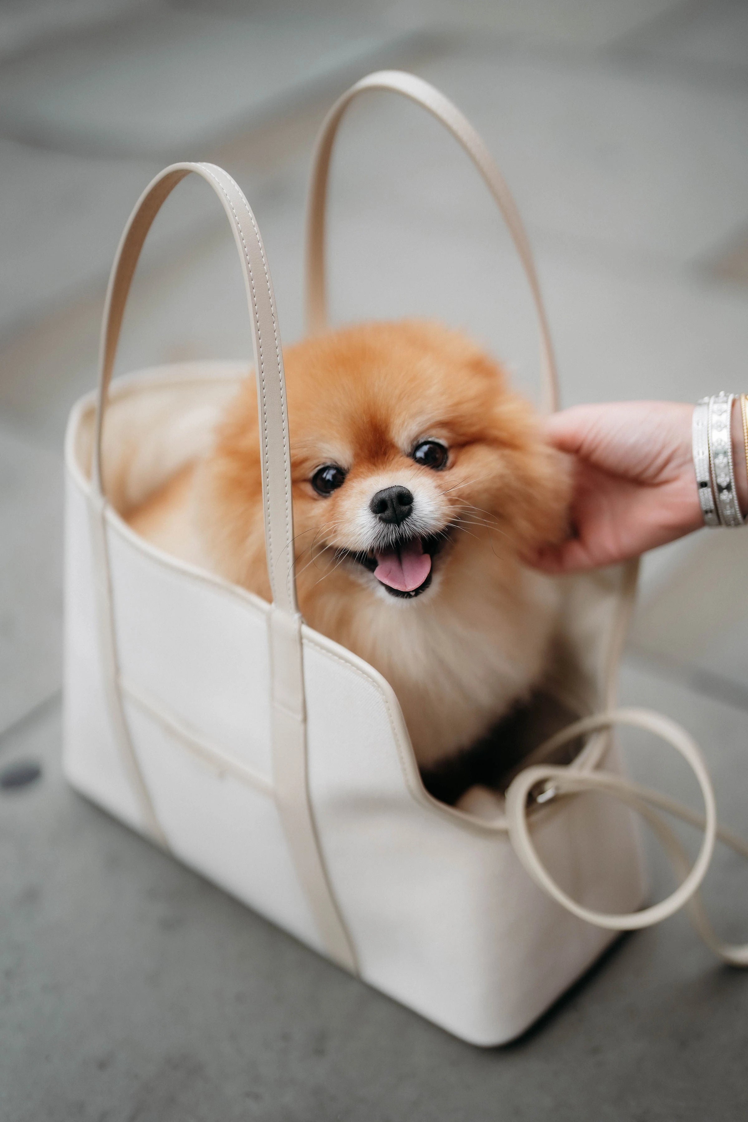 The London Tote Bag — White/Cream Maison Munch