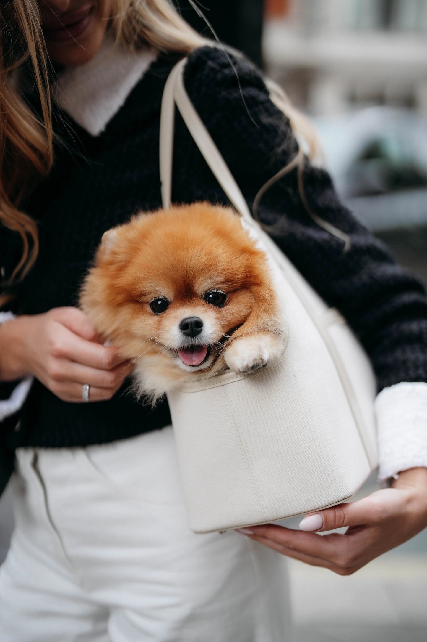 The London Tote Bag — White/Cream Maison Munch
