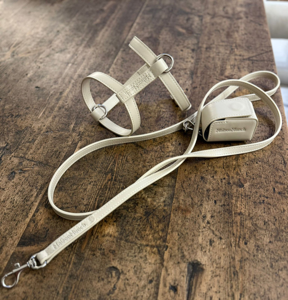 Silver leather strap with a clip on a wooden surface