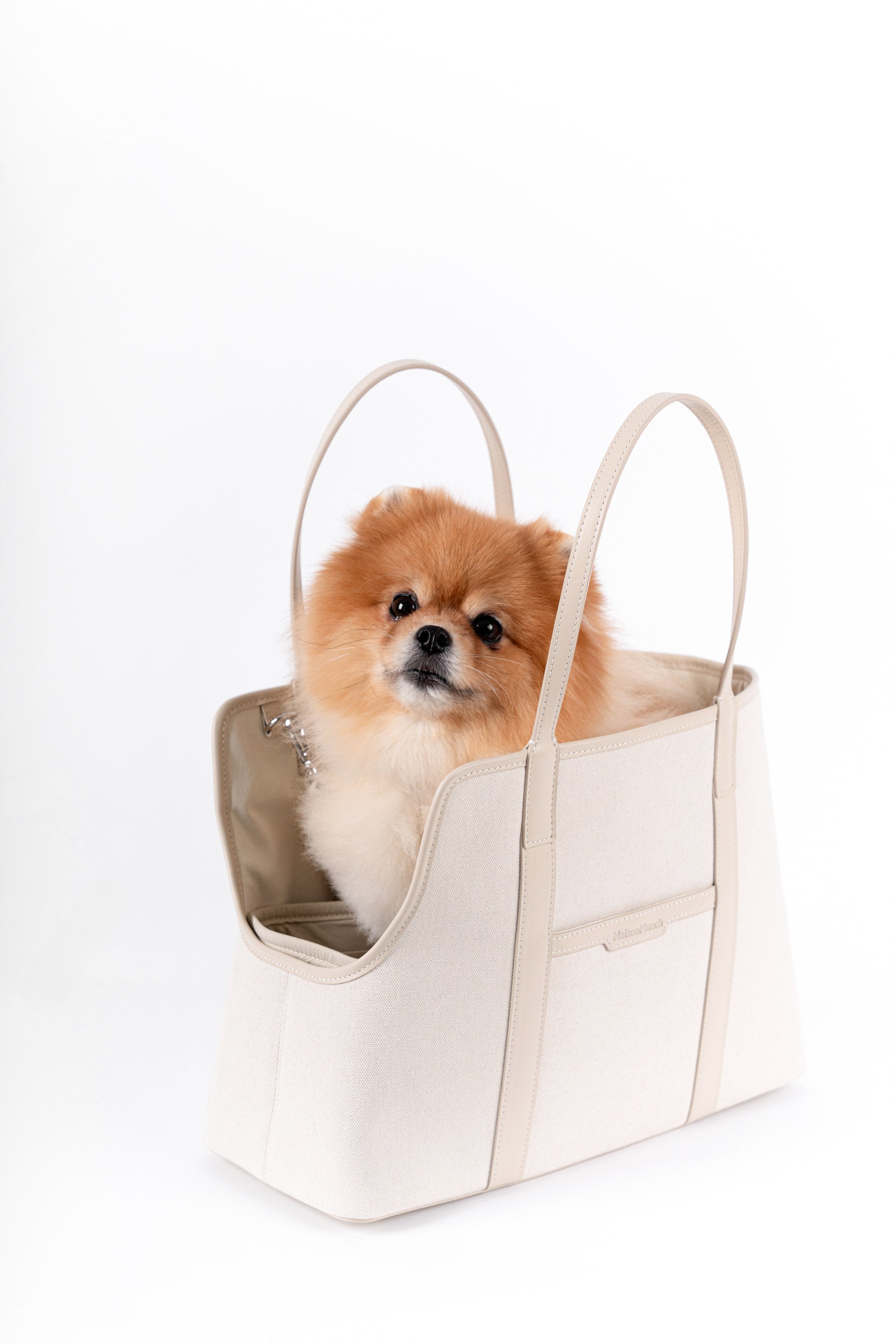 Premium Dog Accessories