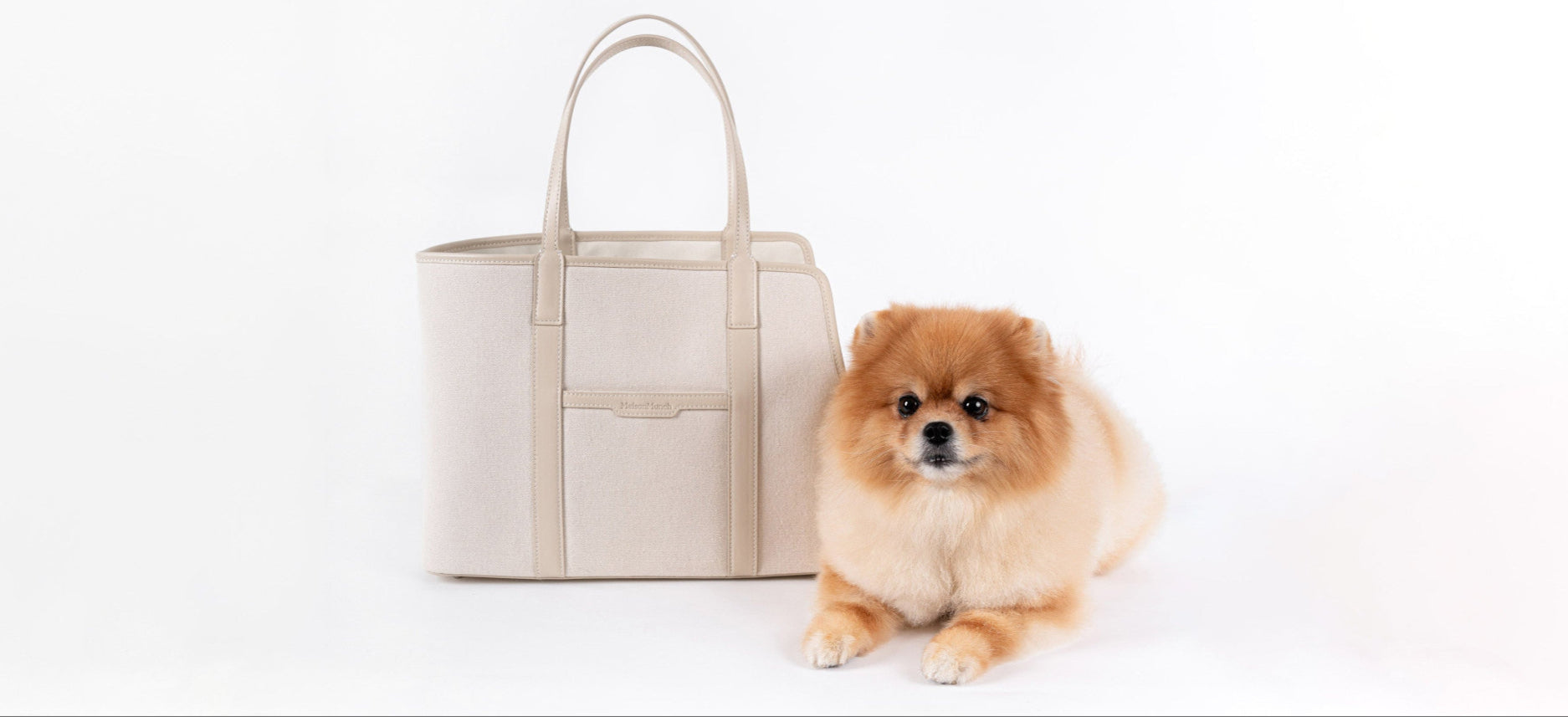 Premium Dog Accessories
2