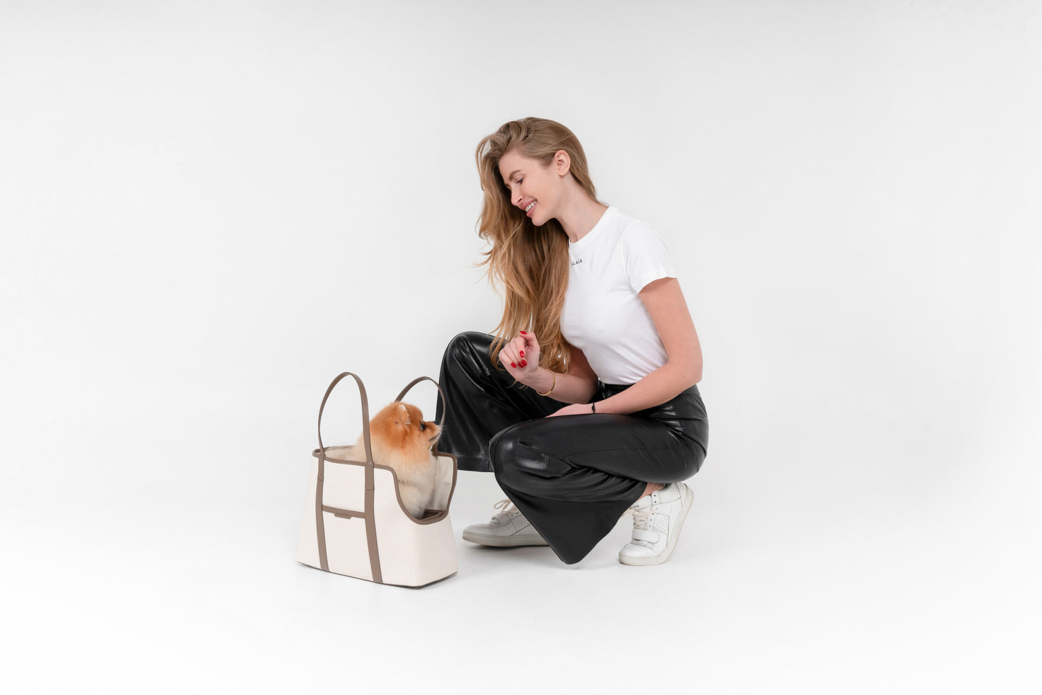 Premium Dog Accessories