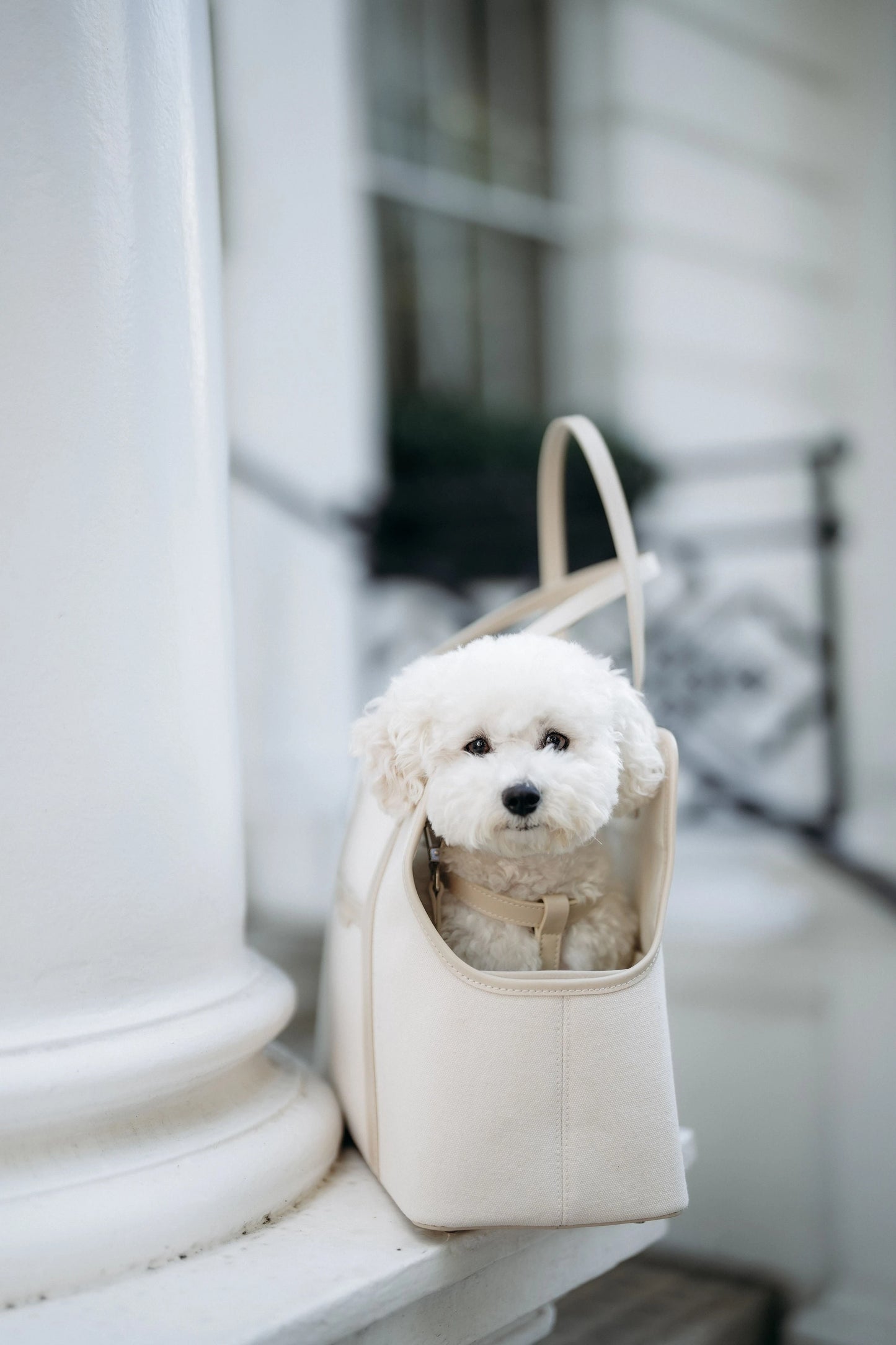 The London Tote Bag — Cream Maison Munch
