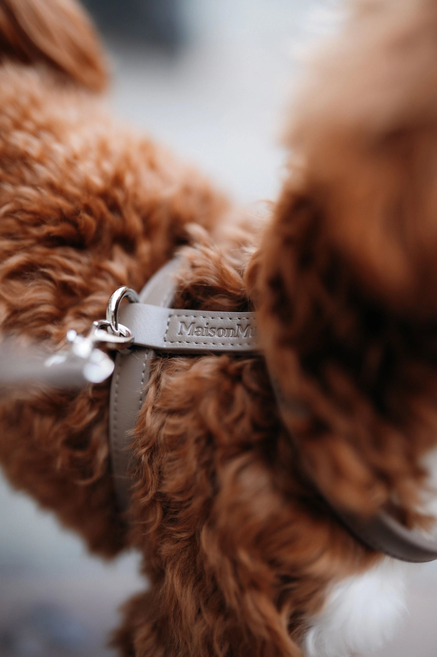 The Cocoa Harness Maison Munch