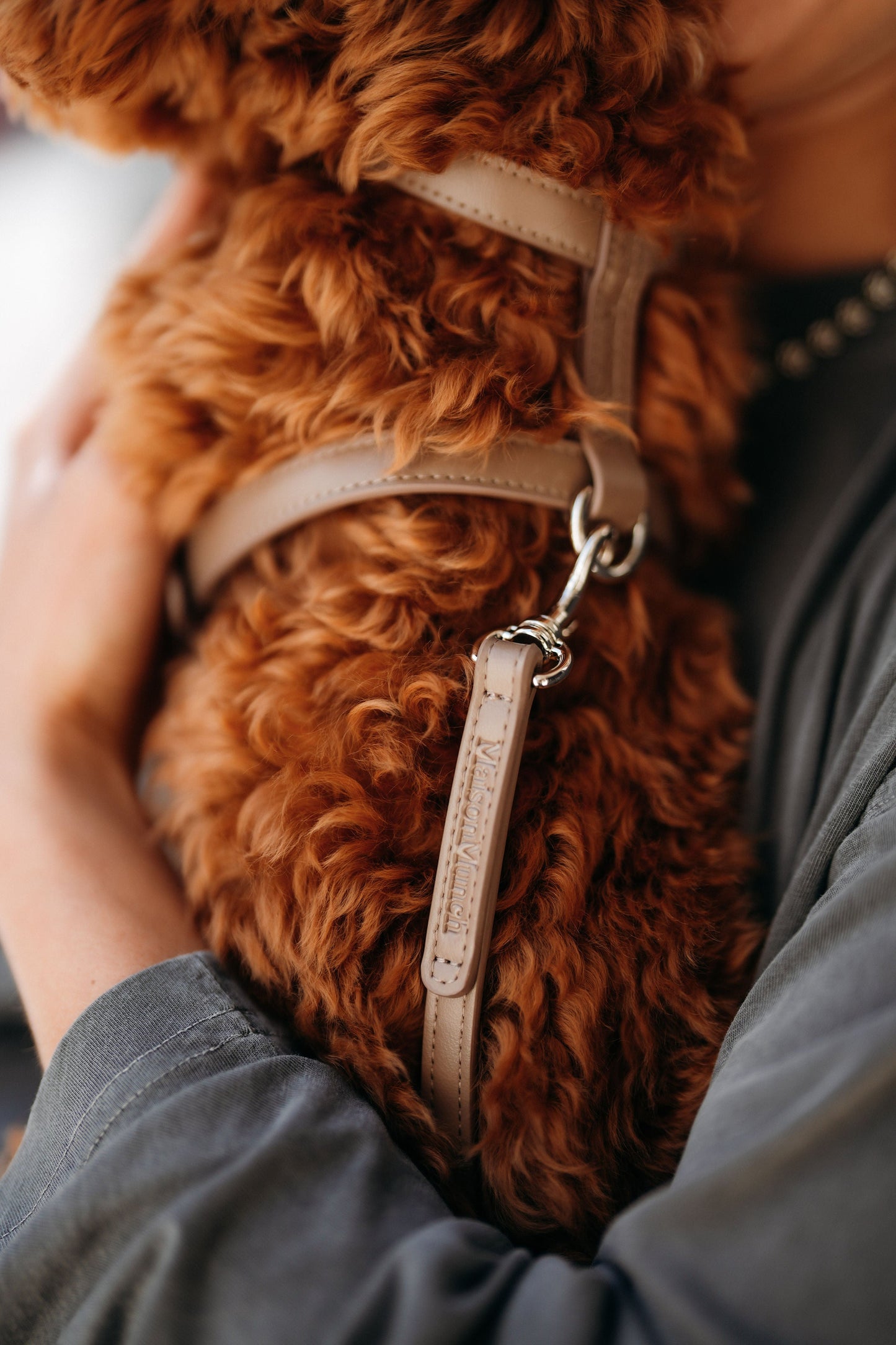 The Cocoa Leash Maison Munch