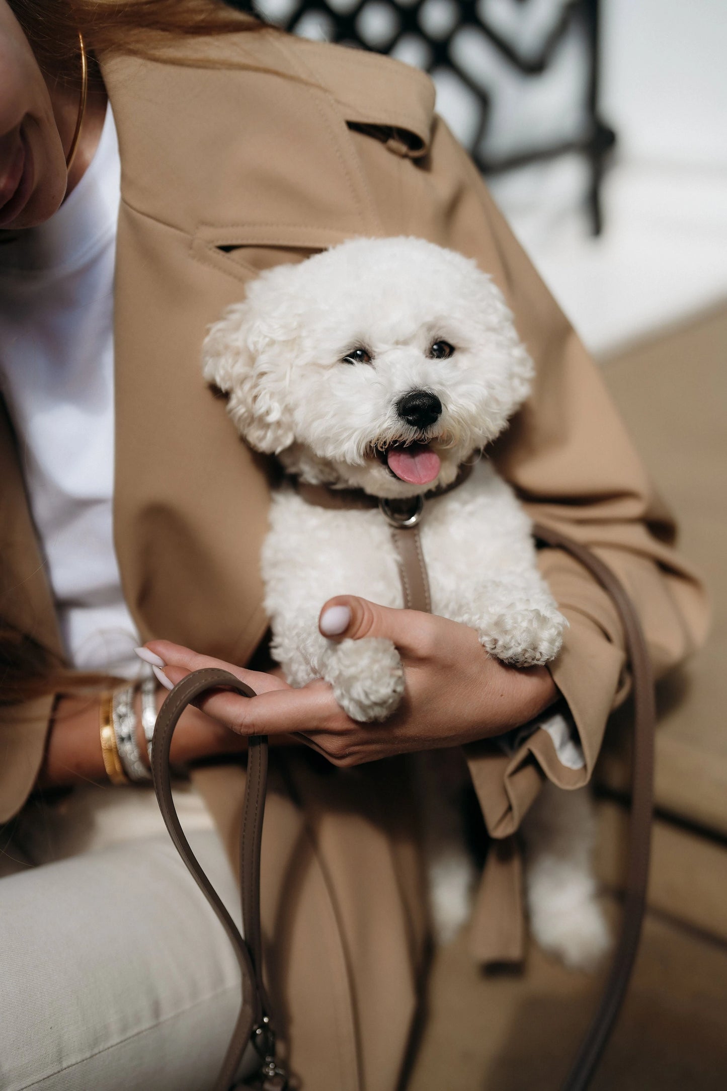 The Cocoa Harness Maison Munch