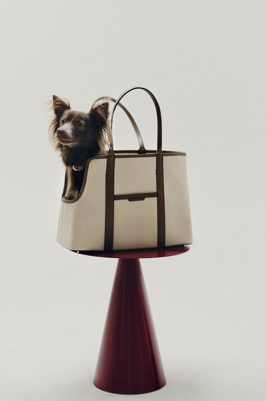 The London Tote Bag — Cocoa Maison Munch