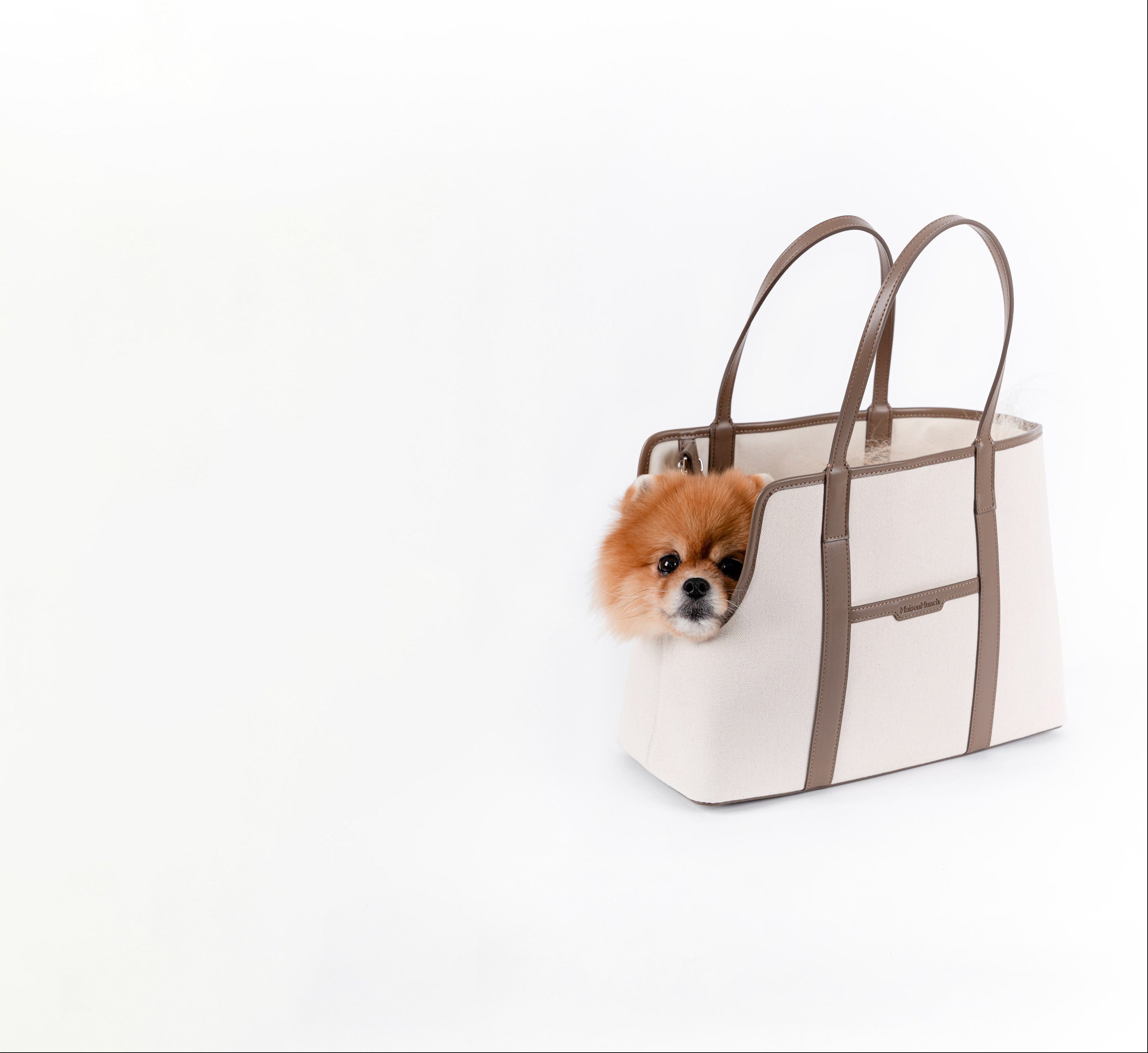 tote dog carrier