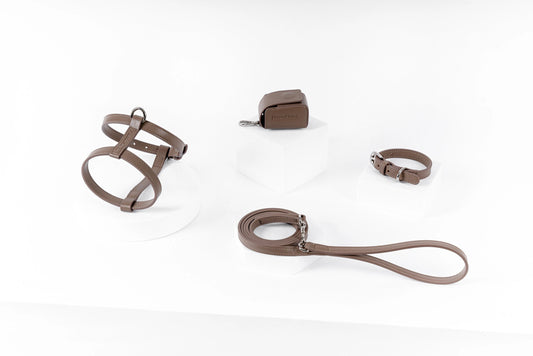 bundle dog walking set