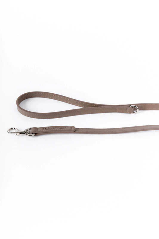 dog leash