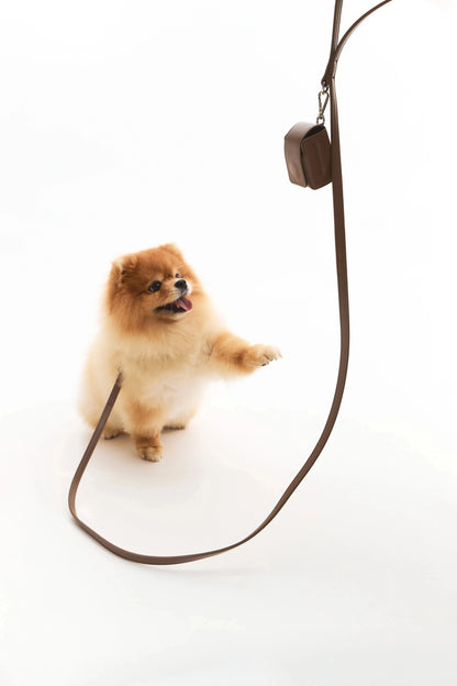 The Cocoa Leash Maison Munch