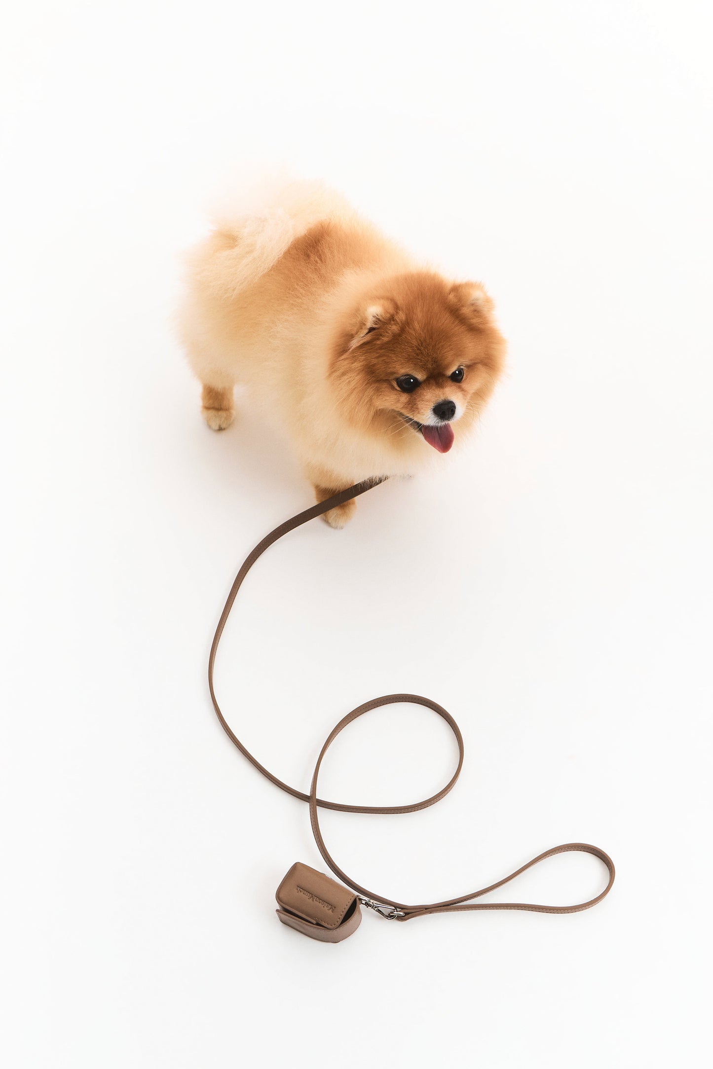 The Cocoa Leash Maison Munch