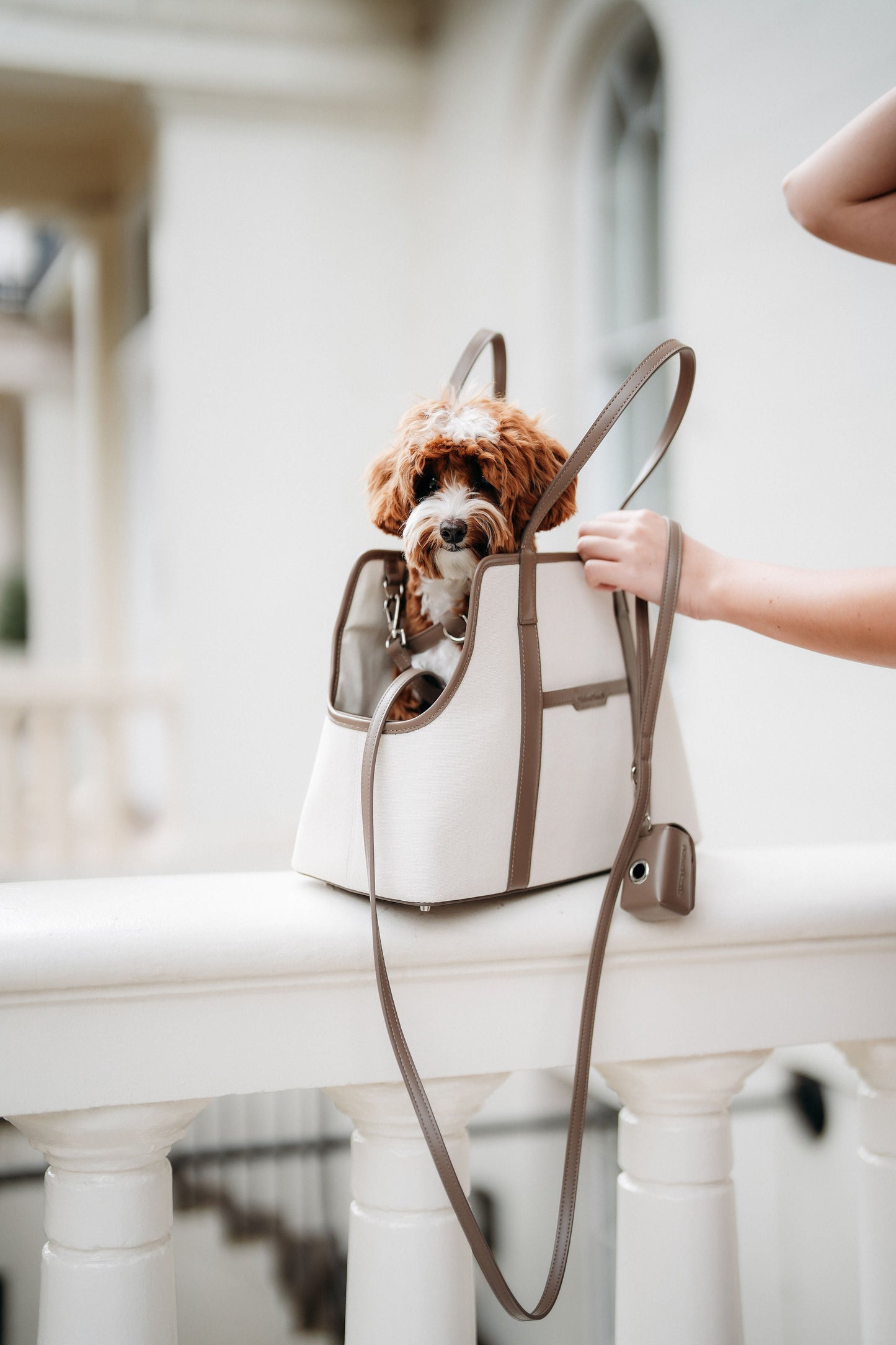 The London Tote Bag — Cocoa Maison Munch