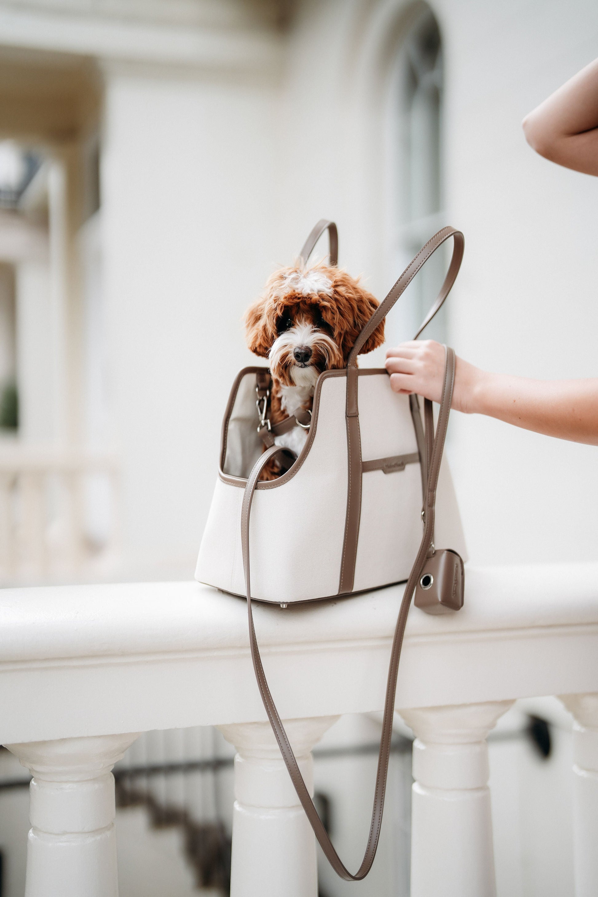 The London Tote Bag — Cocoa Maison Munch